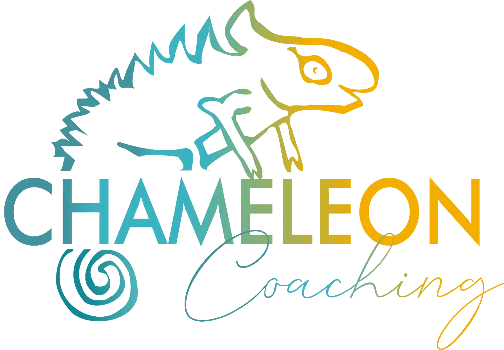 Chameleon Intercultural Training & Coaching